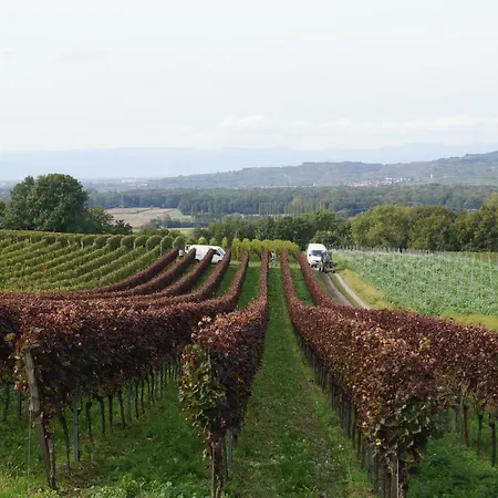 Weingut Landmann Ferienwohnungen Freiburg im Breisgau Exterior foto