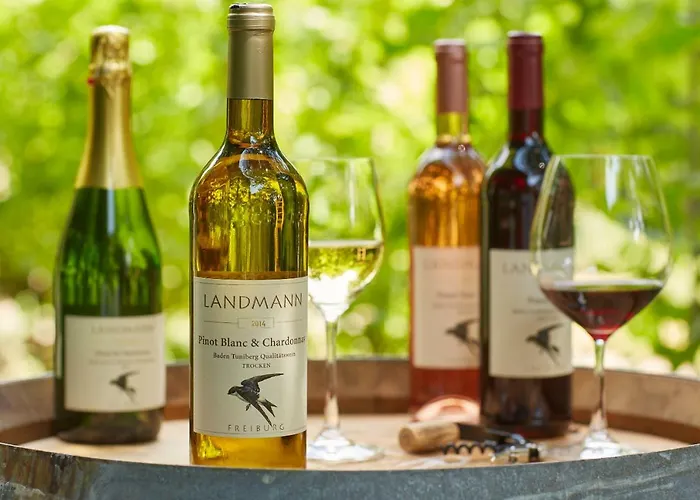 Weingut Landmann Ferienwohnungen