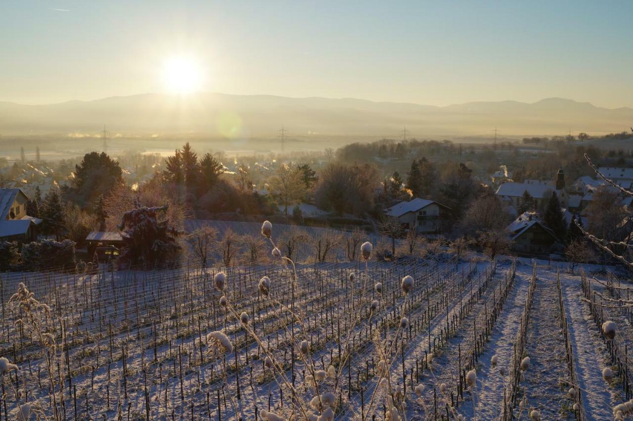 Weingut Landmann * Freiburg im Breisgau